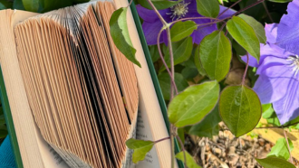 a book folded in the shape of a heart with a clematis in the background