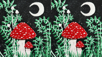 painting of red capped mushrooms at nighttime 