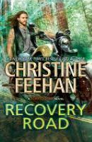 Recovery road coverart