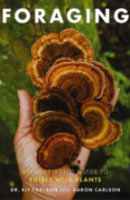 foraging