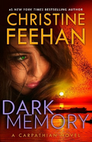 dark memory cover art
