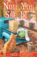 now you see it cover art