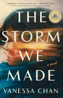 the storm we made cover art
