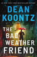 the bad weather friend cover art