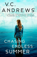 chasing endless summer cover art