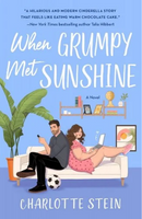 when grumpy met sunshine cover art