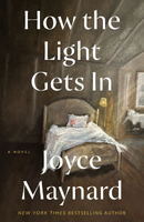 how the light gets in cover art