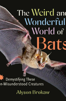 the weird and wonderful world of bats cover art