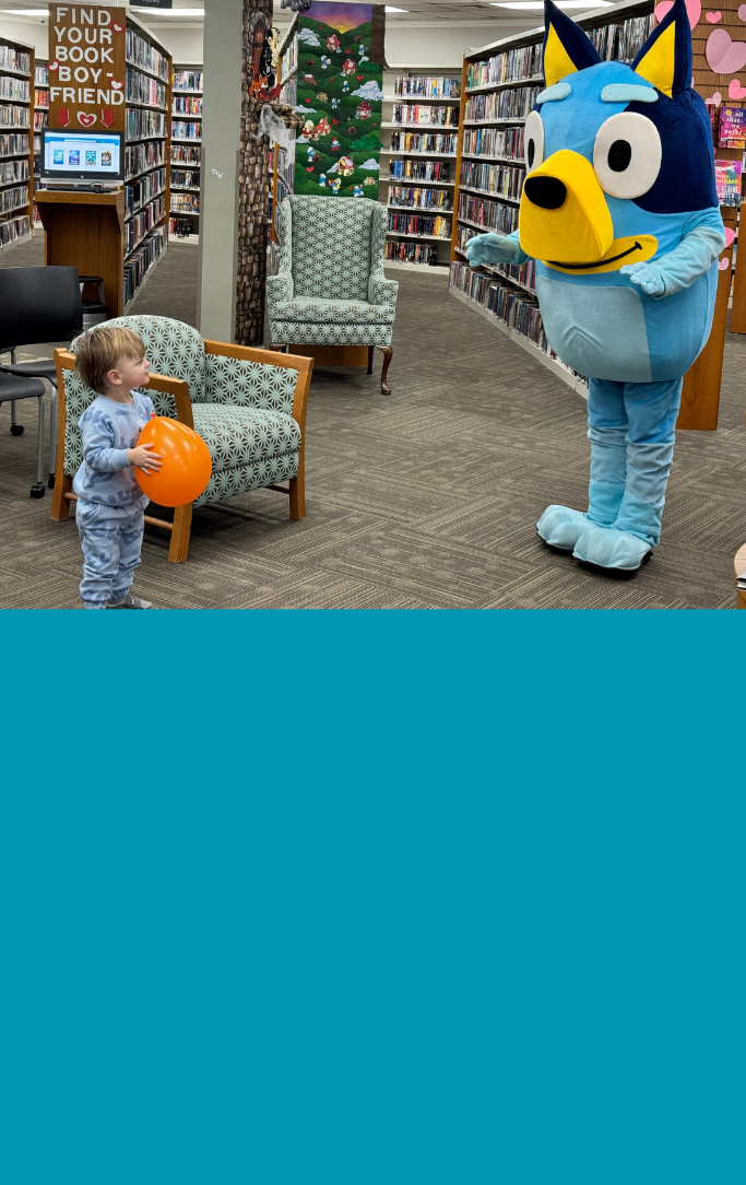 bluey at the library