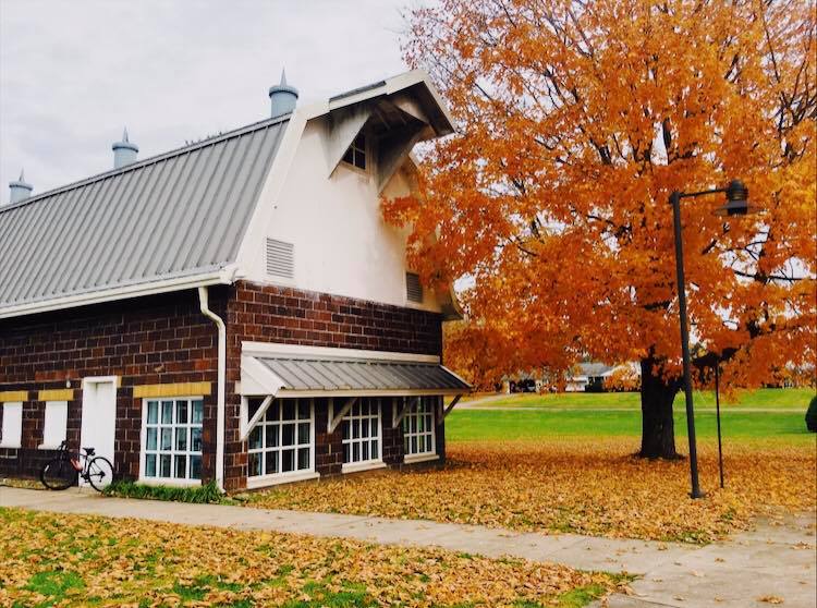 Racine Library in fall