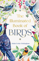 the illuminated book of birds cover art