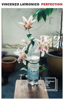 perfection cover art