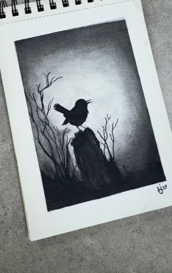 charcoal drawing of a bird