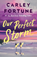 our perfect storm cover art
