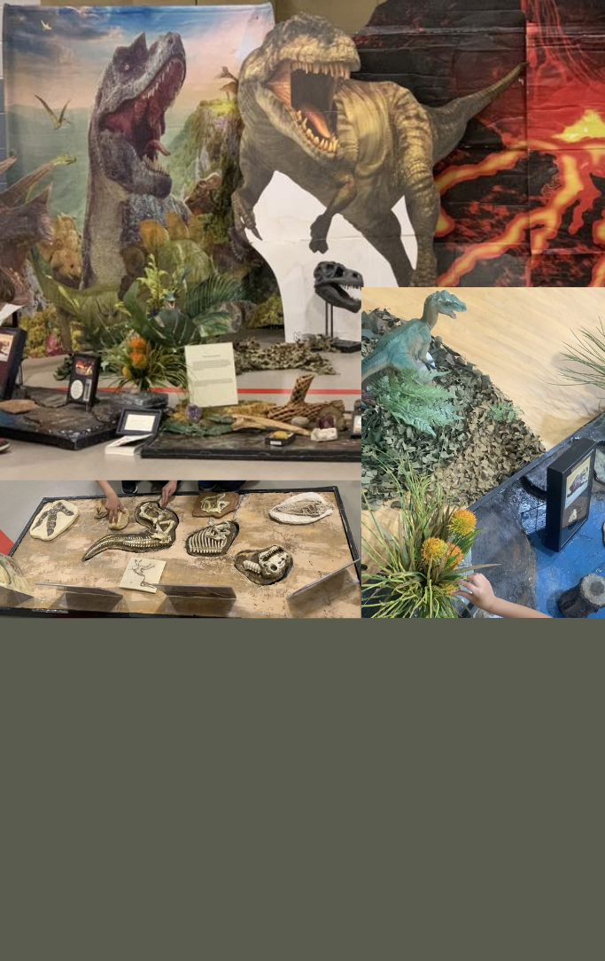 museum exhibits