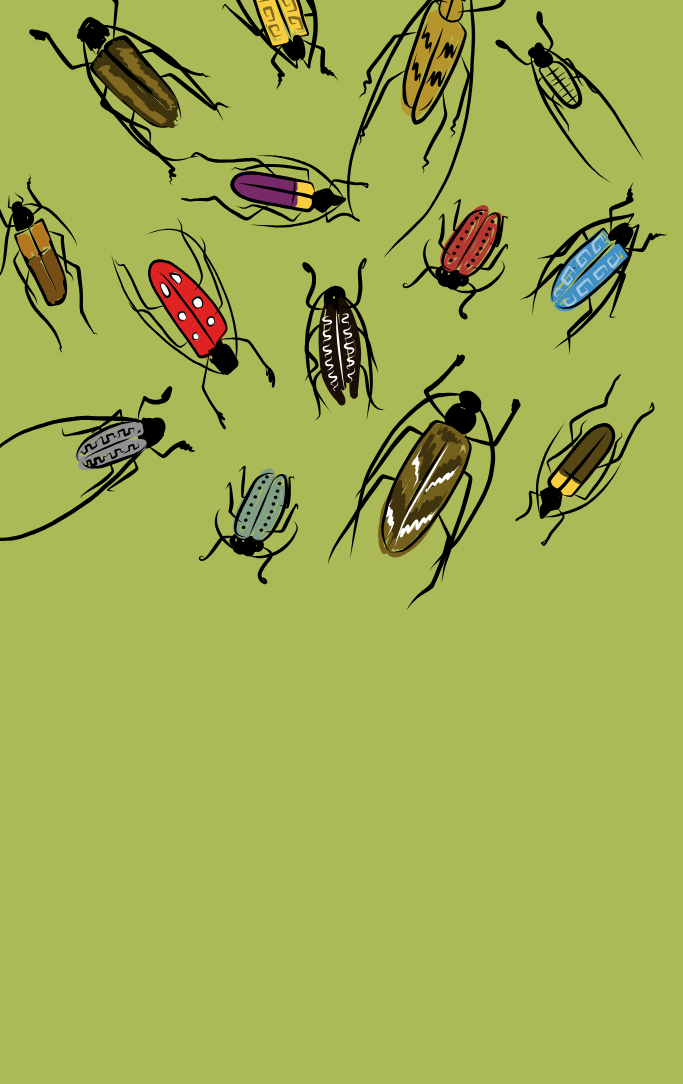 bugs on a green background