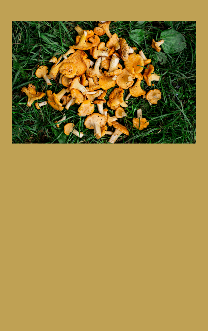 mushrooms