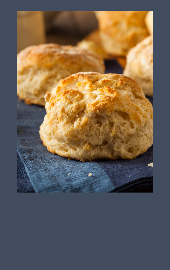 biscuit