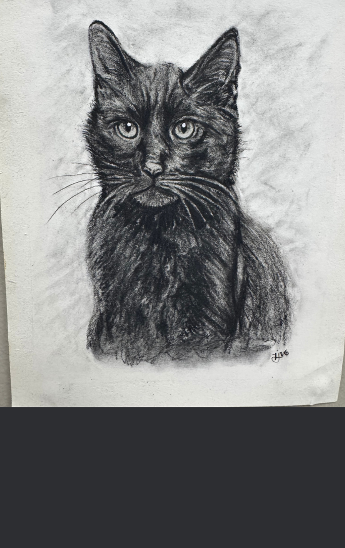 black cat drawing