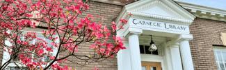 A view of the library's front door in spring, with a pink flowering tree to the left
